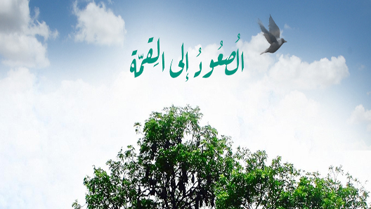 الصعود إلى القمة الحلقة 9
