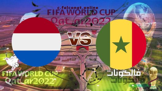 مباراة السنغال وهولندا بث مباشر اليوم الأثنين 21-11-2022 يلا شوت كأس العالم 2022