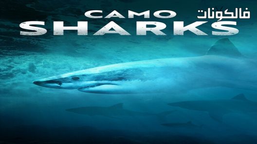فيلم Camo Sharks 2022 كامو شاركس موقع ماي سيما