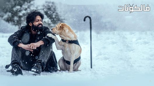 فيلم Charlie 777 2022 تشارلي 777 موقع موفيز لاند