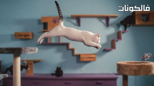 فيلم Inside the Mind of a Cat 2022 داخل عقل القط موقع السينما للجميع