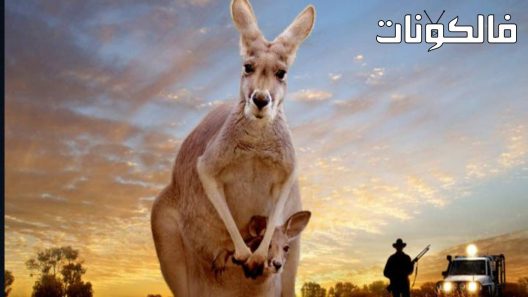 فيلم Kangaroo Valley 2022 وادي الكنغر موقع ماي سيما