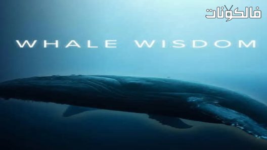 فيلم Whale Wisdom 2019 حكمة الحوت موقع عرب ليونز