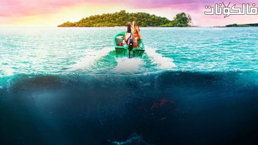 فيلم Influencer 2022 المؤثر موقع فشار